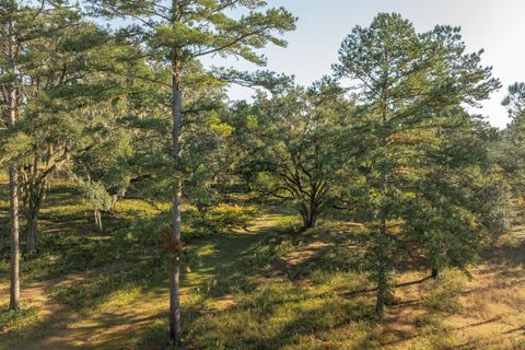 Tiny photo for 9700 Old Magnolia Road, Tallahassee, FL 32309 (MLS # 1526760)