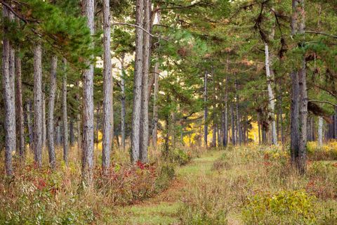 Tiny photo for 9700 Old Magnolia Road, Tallahassee, FL 32309 (MLS # 1526760)