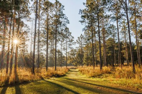 Tiny photo for 9700 Old Magnolia Road, Tallahassee, FL 32309 (MLS # 1526760)