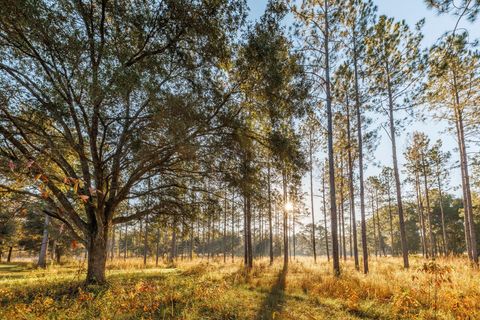 Tiny photo for 9700 Old Magnolia Road, Tallahassee, FL 32309 (MLS # 1526760)