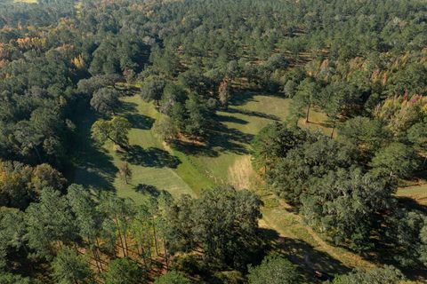 Tiny photo for 9700 Old Magnolia Road, Tallahassee, FL 32309 (MLS # 1526760)