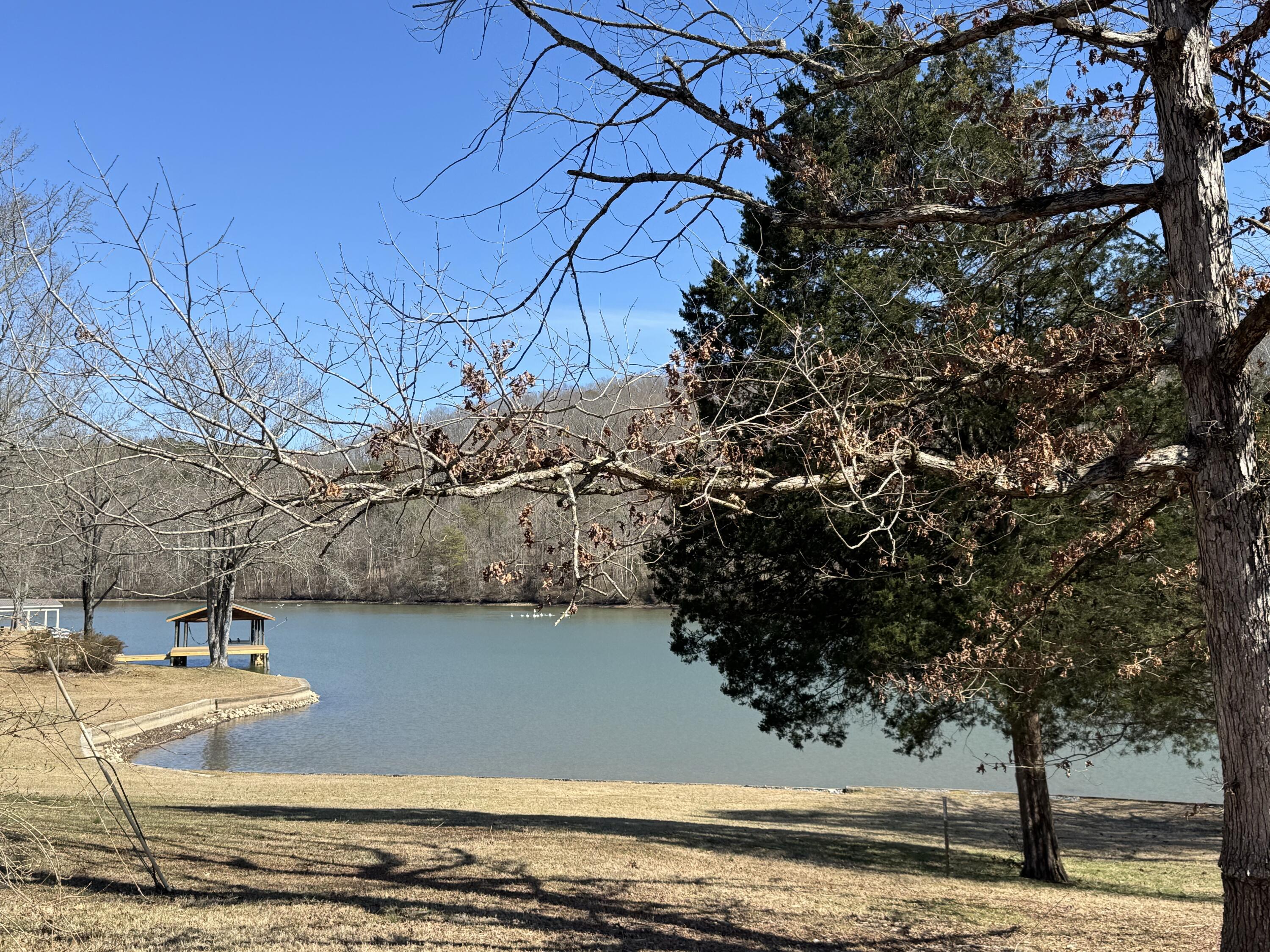 4539 Toestring Valley Road, Spring City, Tennessee image 16