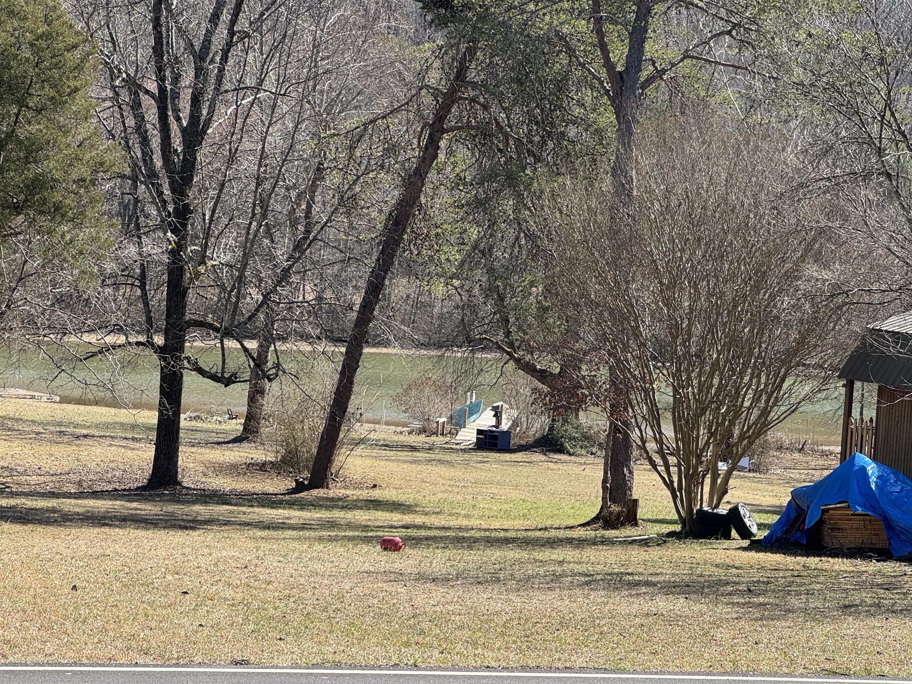 4539 Toestring Valley Road, Spring City, Tennessee image 15