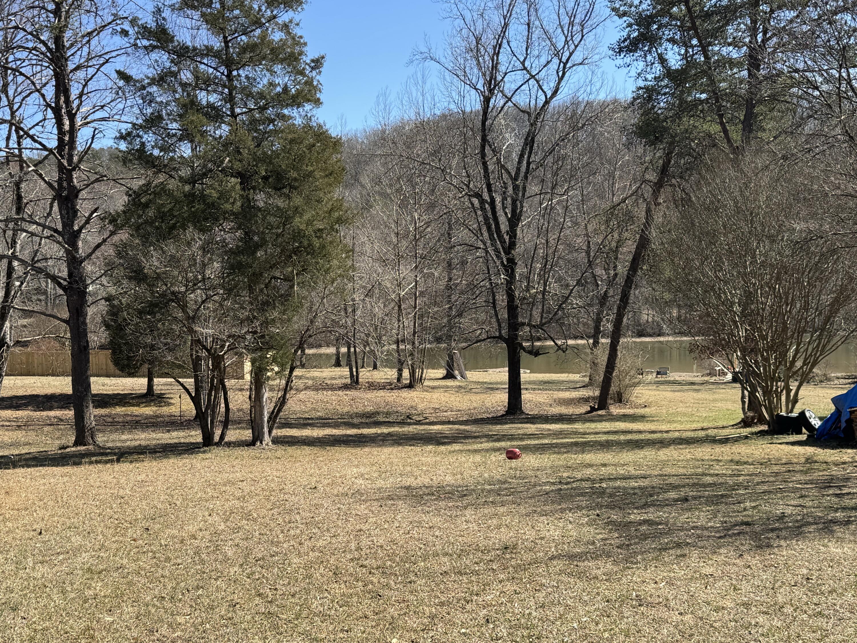 4539 Toestring Valley Road, Spring City, Tennessee image 17