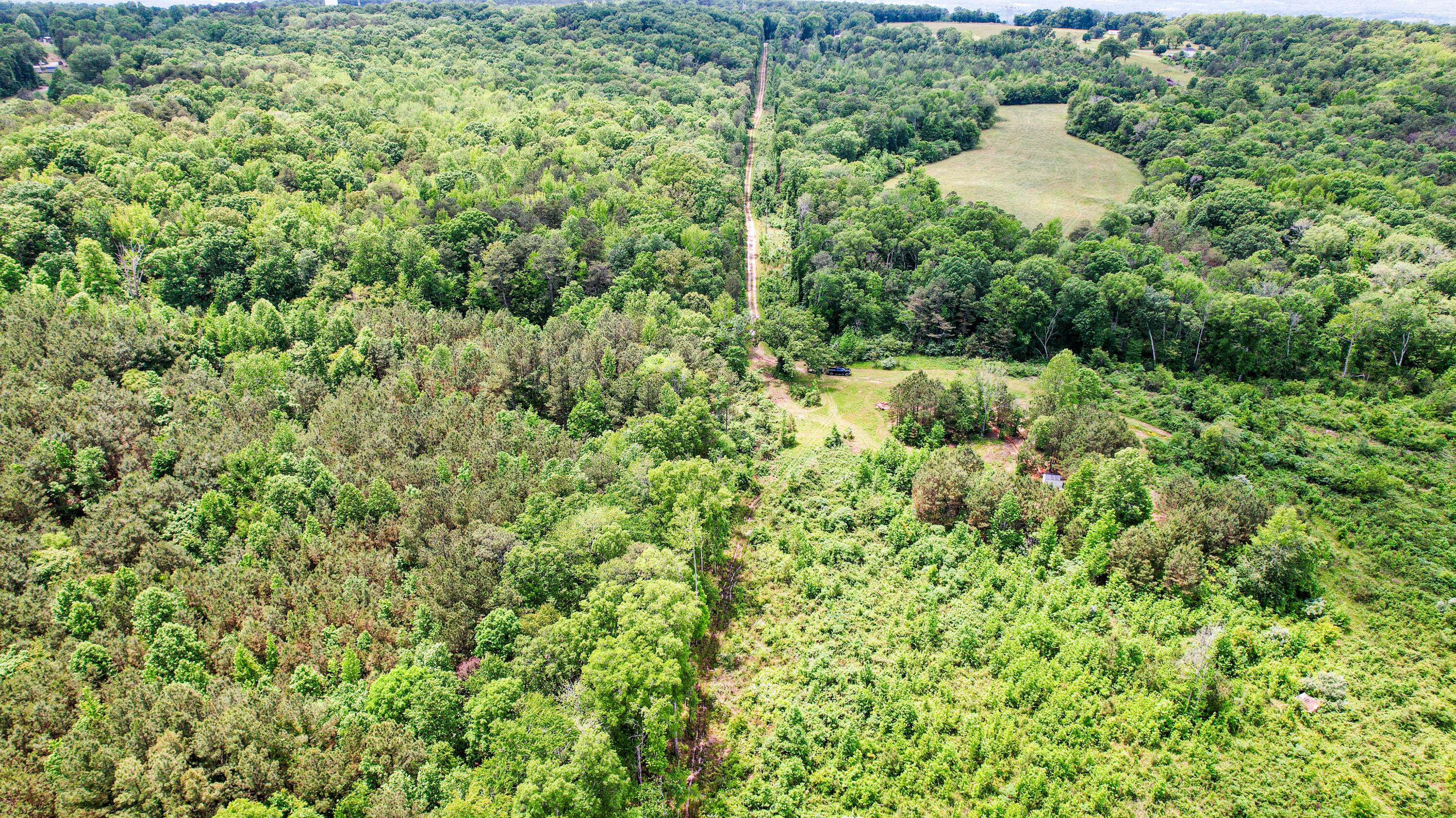 Flat Rock, Alabama 35966, United States, ,Land,Active,181891