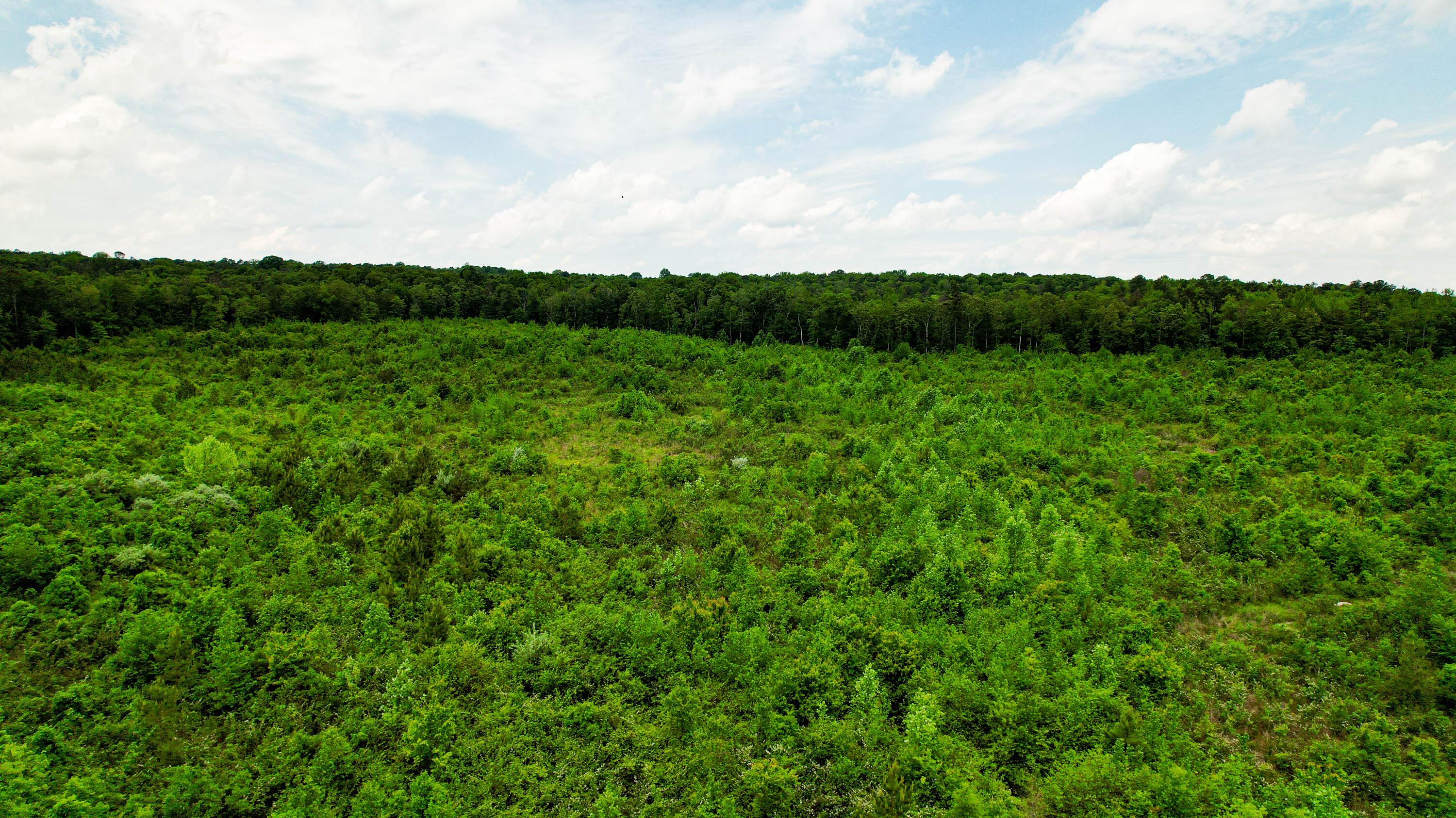 Flat Rock, Alabama 35966, United States, ,Land,Active,181891