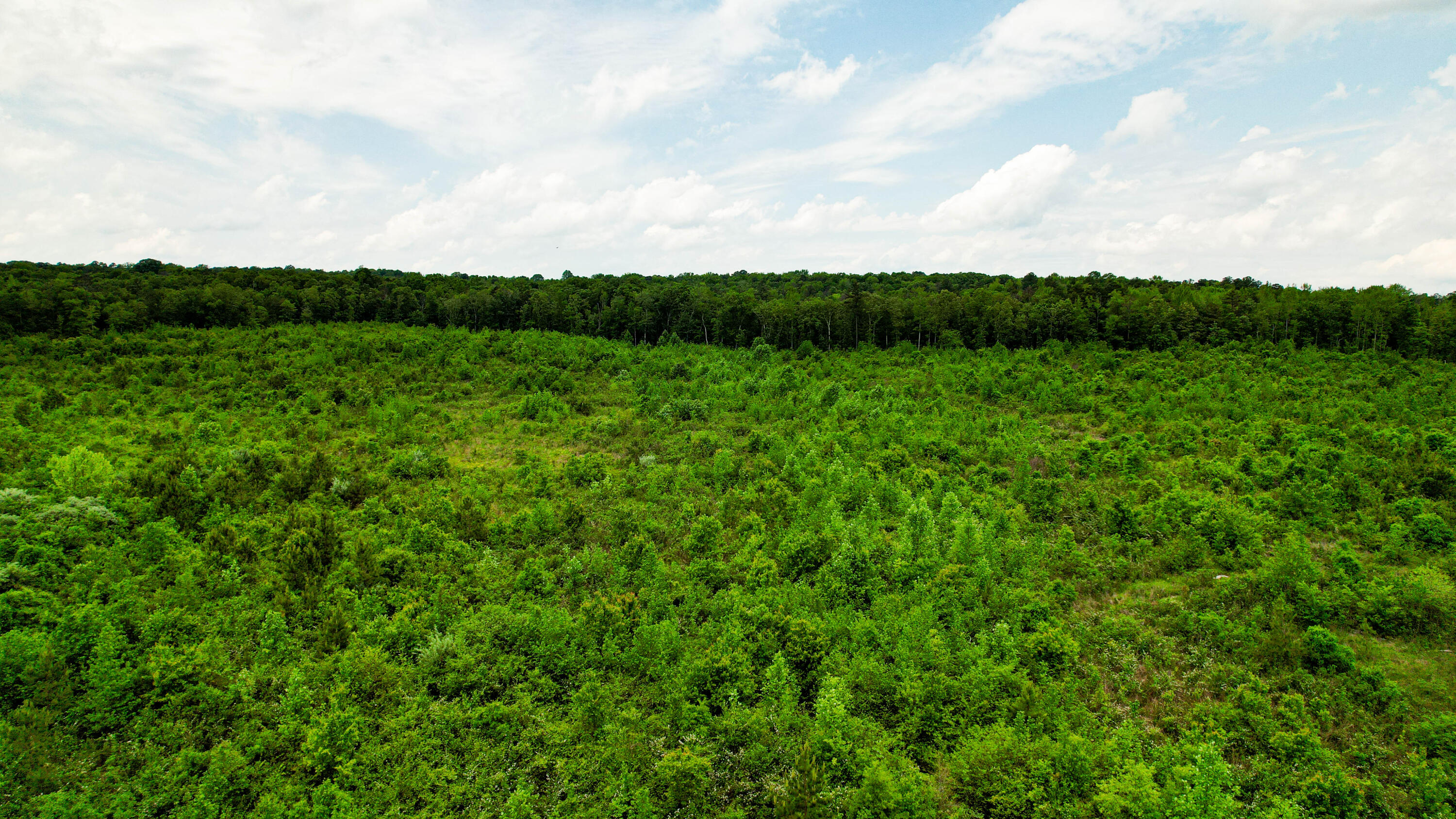 Flat Rock, Alabama 35966, United States, ,Land,Active,181891