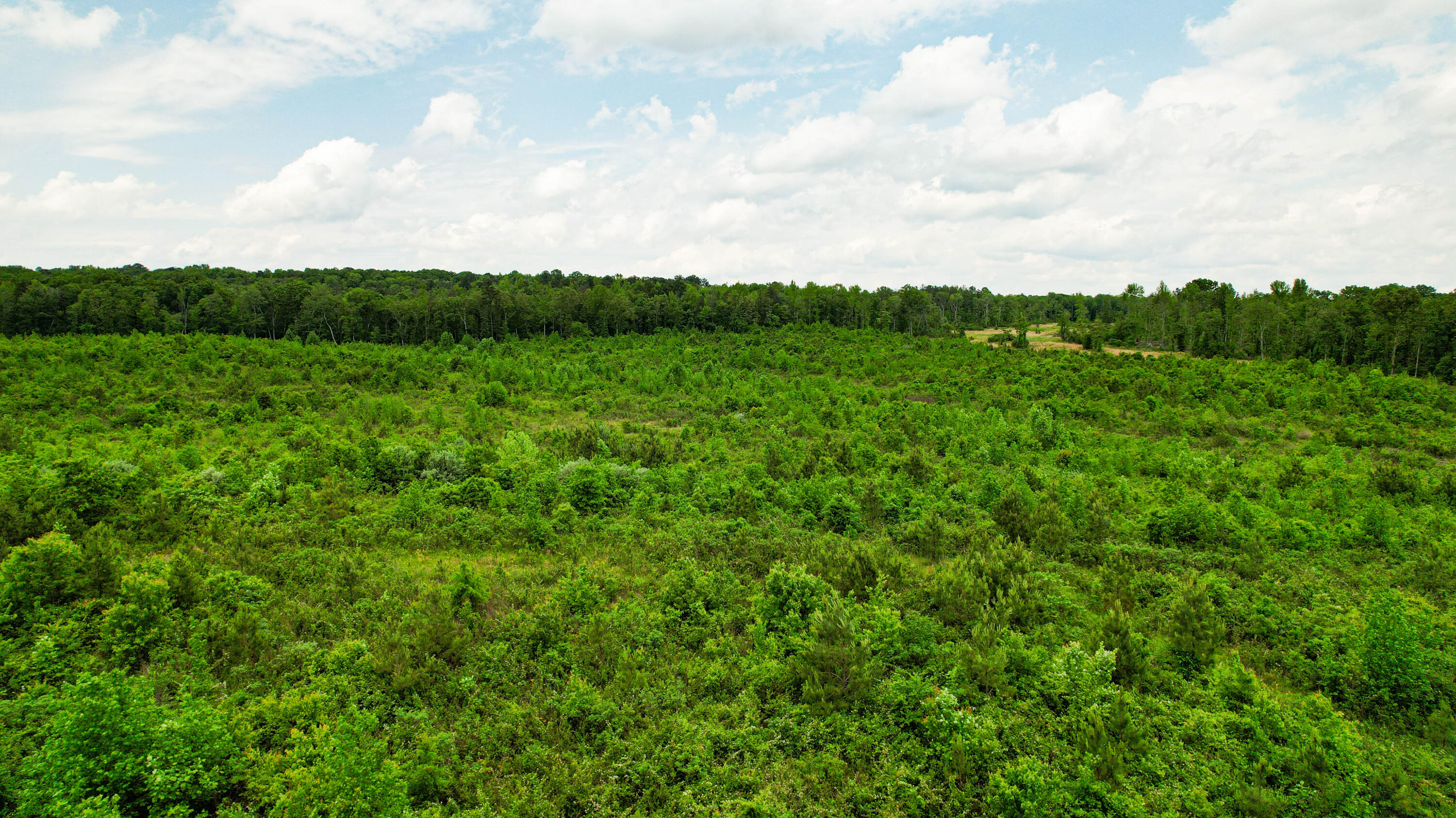 Flat Rock, Alabama 35966, United States, ,Land,Active,181891