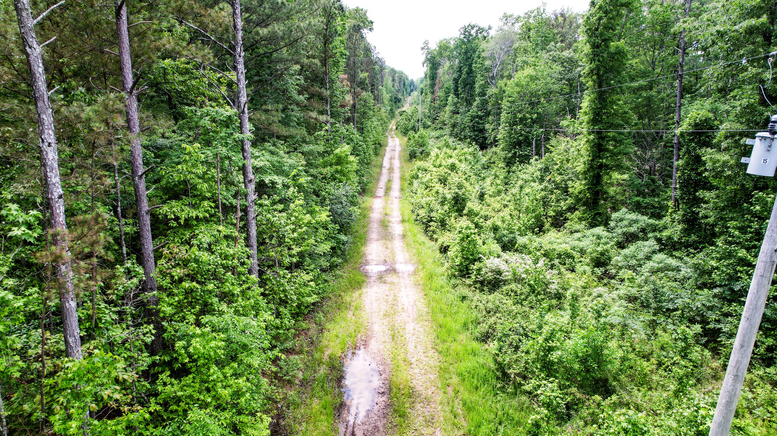 Flat Rock, Alabama 35966, United States, ,Land,Active,181891