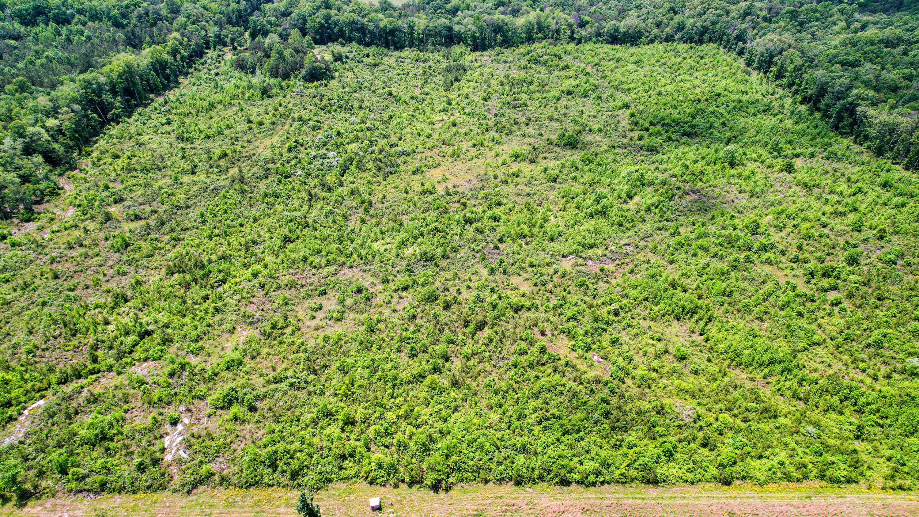 Flat Rock, Alabama 35966, United States, ,Land,Active,181891