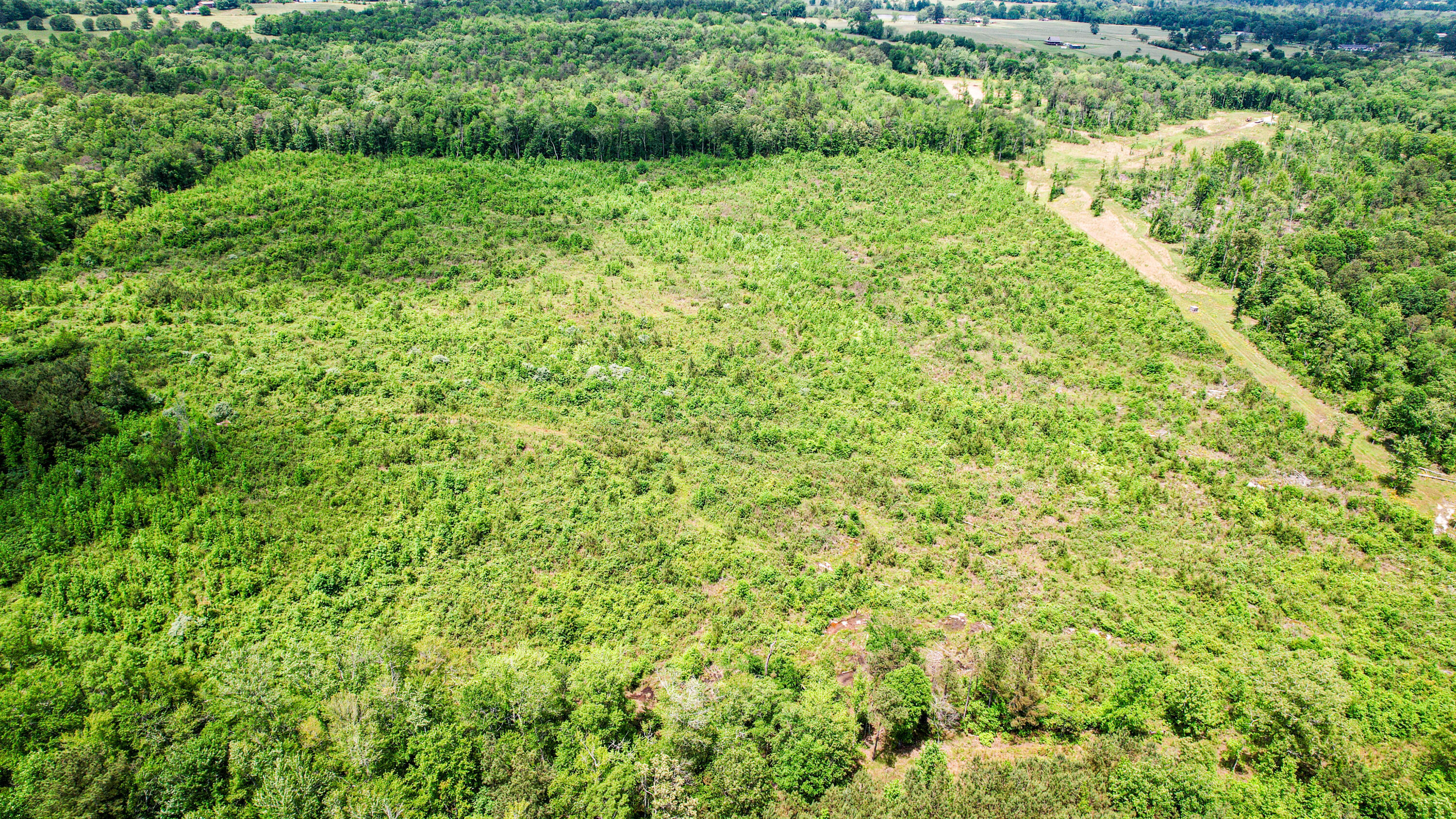 Flat Rock, Alabama 35966, United States, ,Land,Active,181891