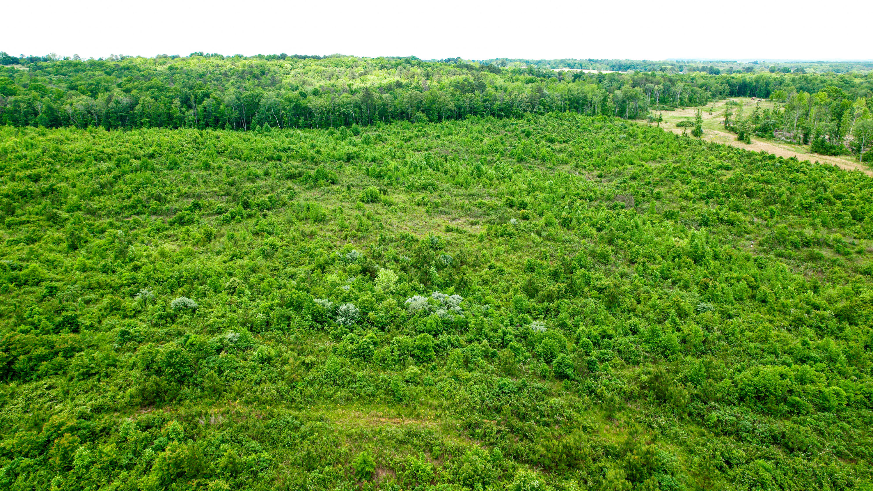 Flat Rock, Alabama 35966, United States, ,Land,Active,181891