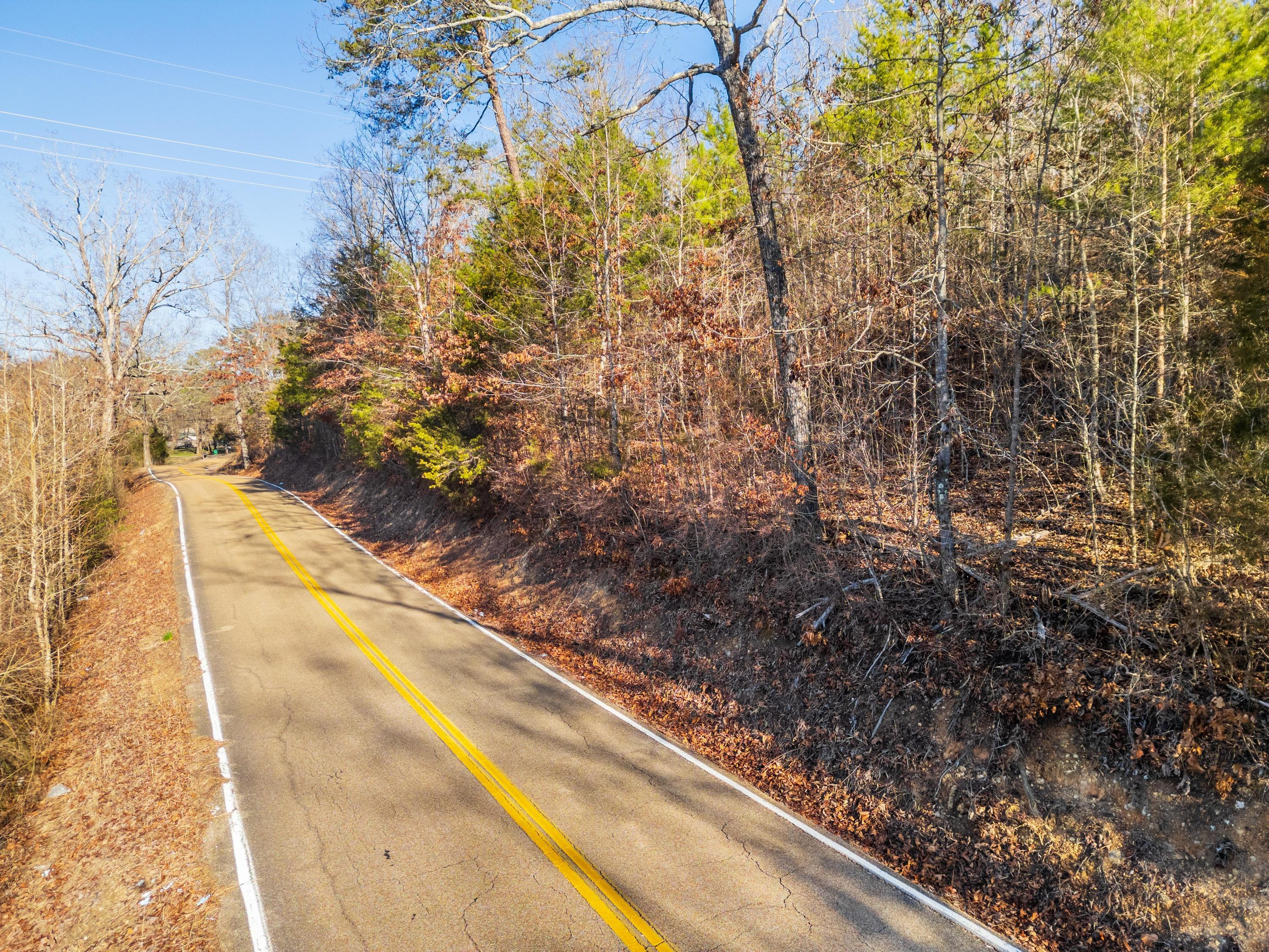 7357 Banther Road, Harrison, Tennessee image 3