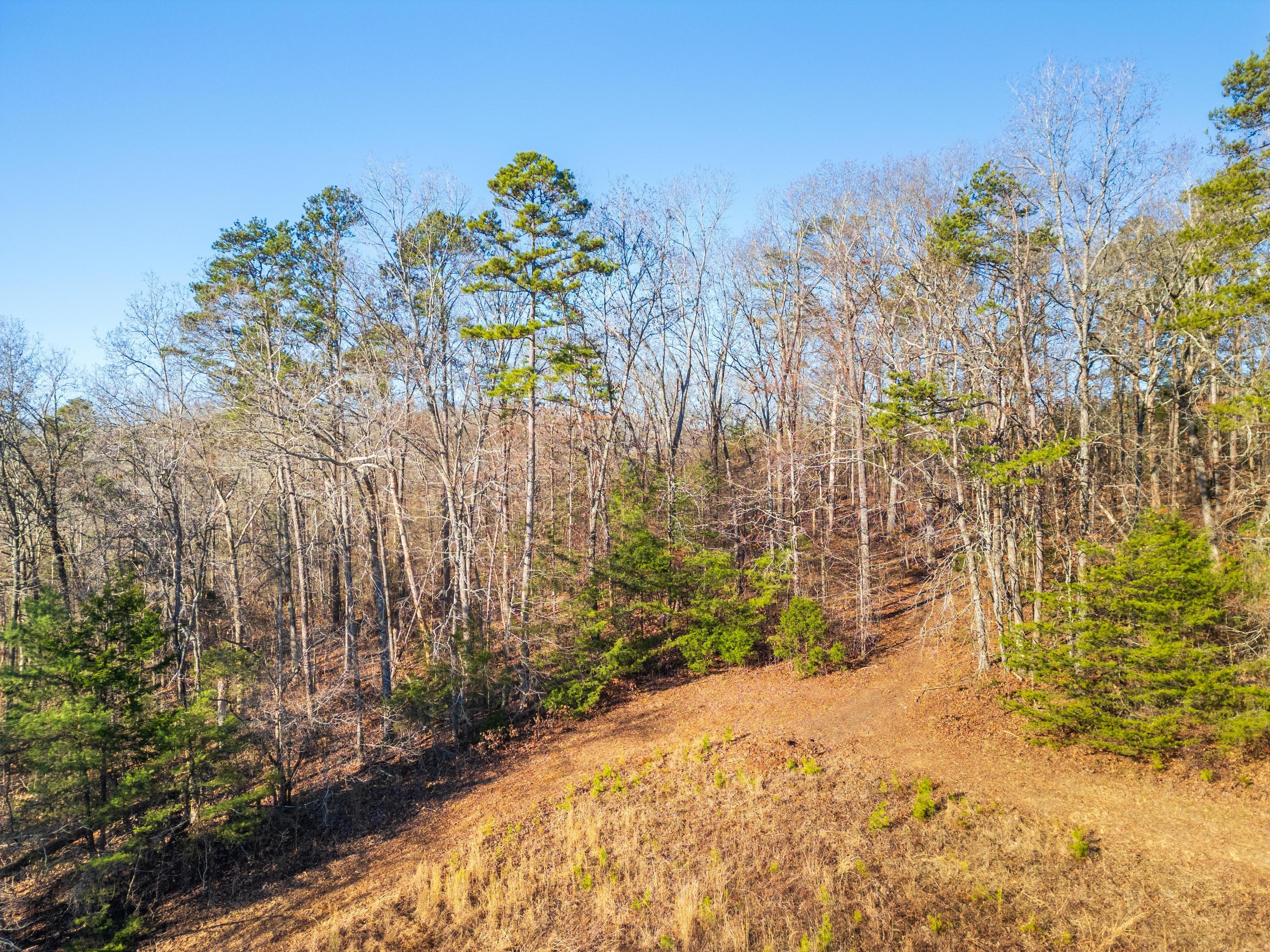 7357 Banther Road, Harrison, Tennessee image 4