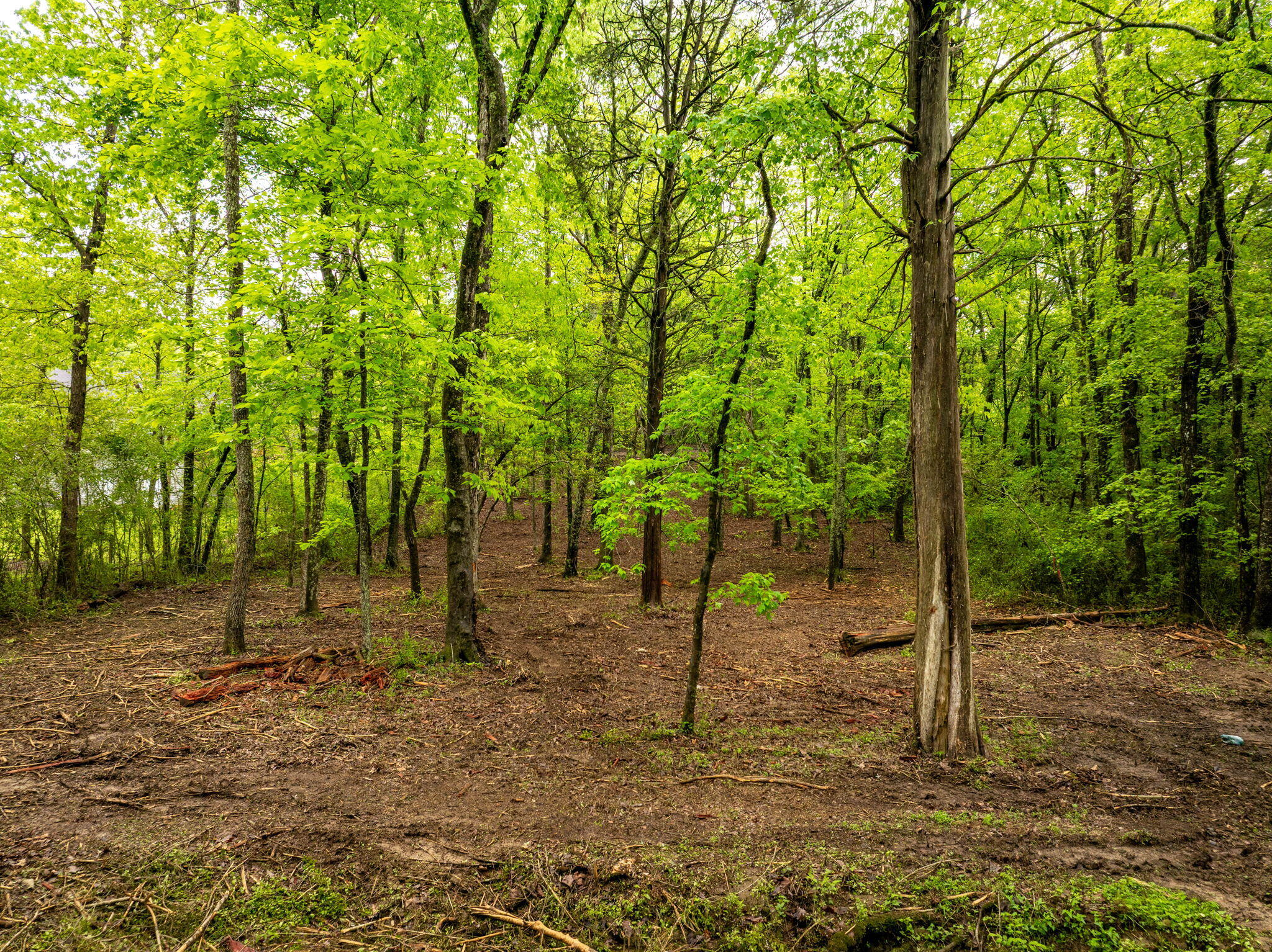 14009 Mt Annie Church Road