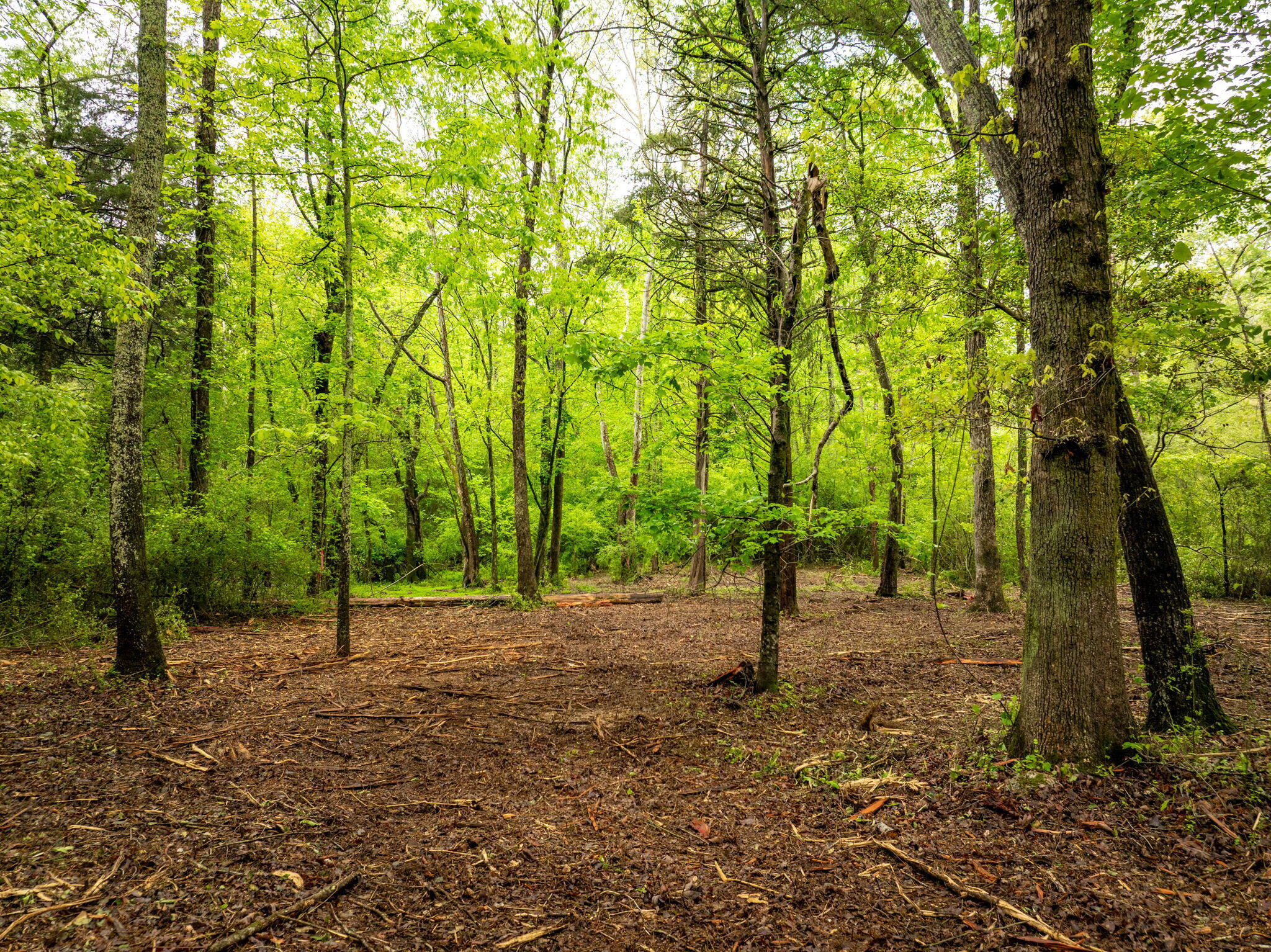 14009 Mt Annie Church Road