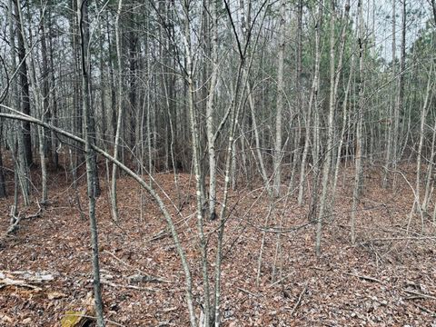 Tiny photo for 0 Raulston Falls Road, Jasper, TN 37347 (MLS # 1529477)