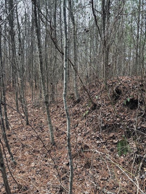 Tiny photo for 0 Raulston Falls Road, Jasper, TN 37347 (MLS # 1529477)