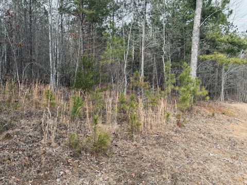 Tiny photo for 0 Raulston Falls Road, Jasper, TN 37347 (MLS # 1529477)