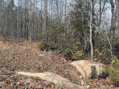 Tiny photo for 0 Raulston Falls Road, Jasper, TN 37347 (MLS # 1529477)