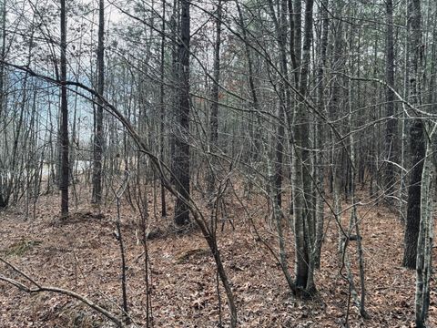 Tiny photo for 0 Raulston Falls Road, Jasper, TN 37347 (MLS # 1529477)