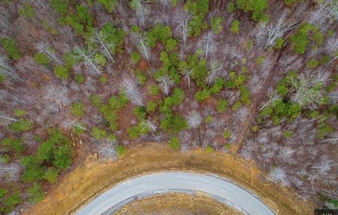 Tiny photo for 0 Raulston Falls Road, Jasper, TN 37347 (MLS # 1529477)