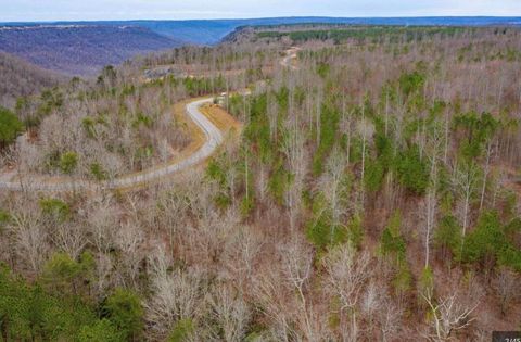 Tiny photo for 0 Raulston Falls Road, Jasper, TN 37347 (MLS # 1529477)