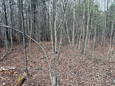 Tiny photo for 0 Raulston Falls Road, Jasper, TN 37347 (MLS # 1529477)