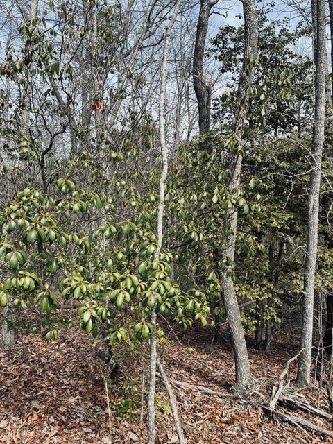 Tiny photo for 0 Raulston Falls Road, Jasper, TN 37347 (MLS # 1529477)