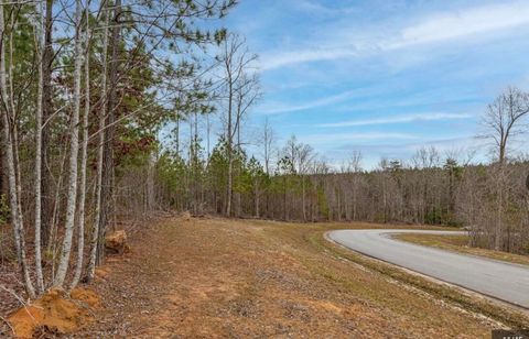 Tiny photo for 0 Raulston Falls Road, Jasper, TN 37347 (MLS # 1529477)