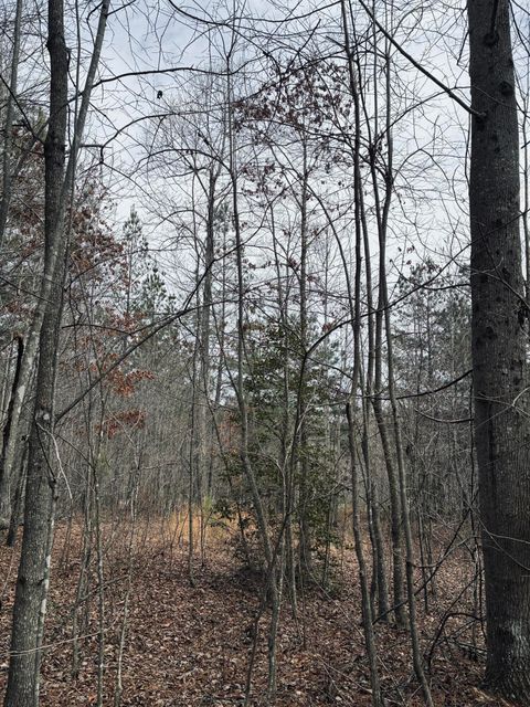 Tiny photo for 0 Raulston Falls Road, Jasper, TN 37347 (MLS # 1529477)