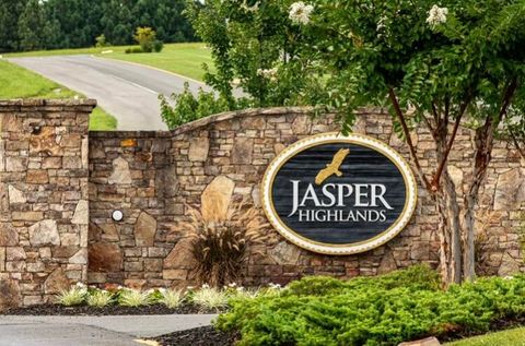 Tiny photo for 0 Raulston Falls Road, Jasper, TN 37347 (MLS # 1529477)