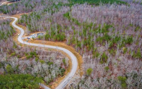 Tiny photo for 0 Raulston Falls Road, Jasper, TN 37347 (MLS # 1529477)