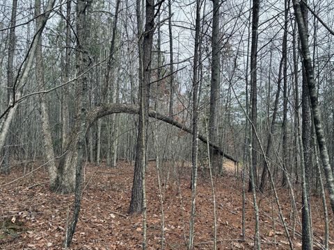 Tiny photo for 0 Raulston Falls Road, Jasper, TN 37347 (MLS # 1529477)