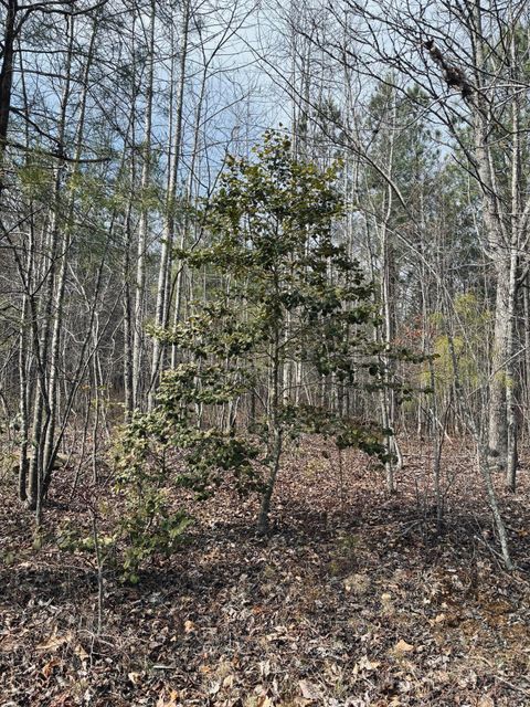 Tiny photo for 0 Raulston Falls Road, Jasper, TN 37347 (MLS # 1529477)