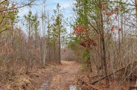 Tiny photo for 0 Raulston Falls Road, Jasper, TN 37347 (MLS # 1529477)