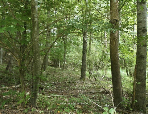 Photo of 1418 Emerald Pointe Drive, Soddy Daisy, TN 37379 (MLS # 1538992)