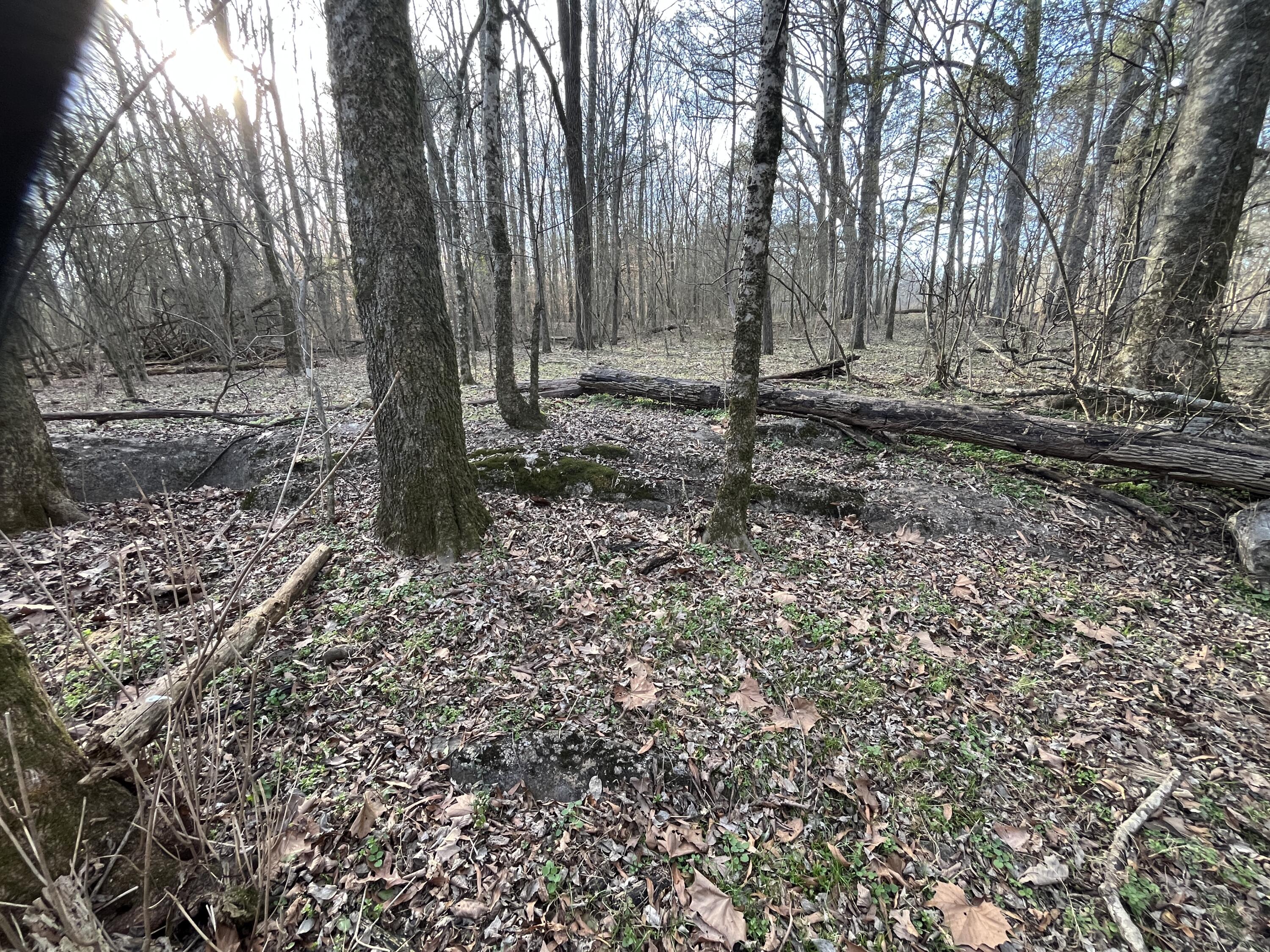 40 Acres Quinton Road, Rocky Face, Georgia image 2