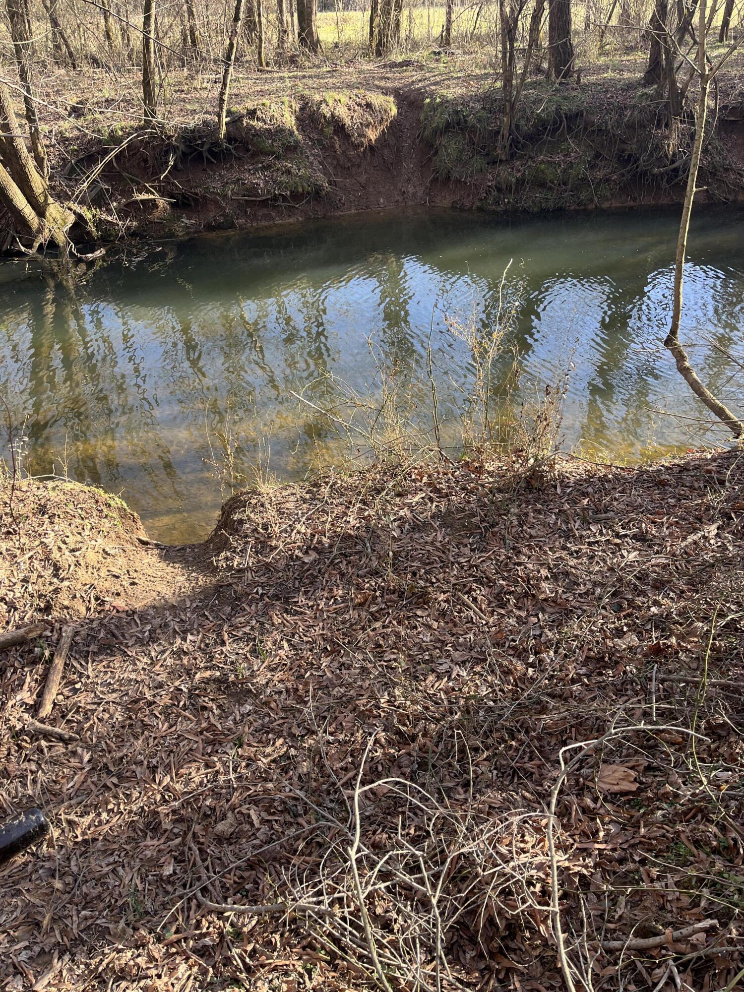 40 Acres Quinton Road, Rocky Face, Georgia image 23