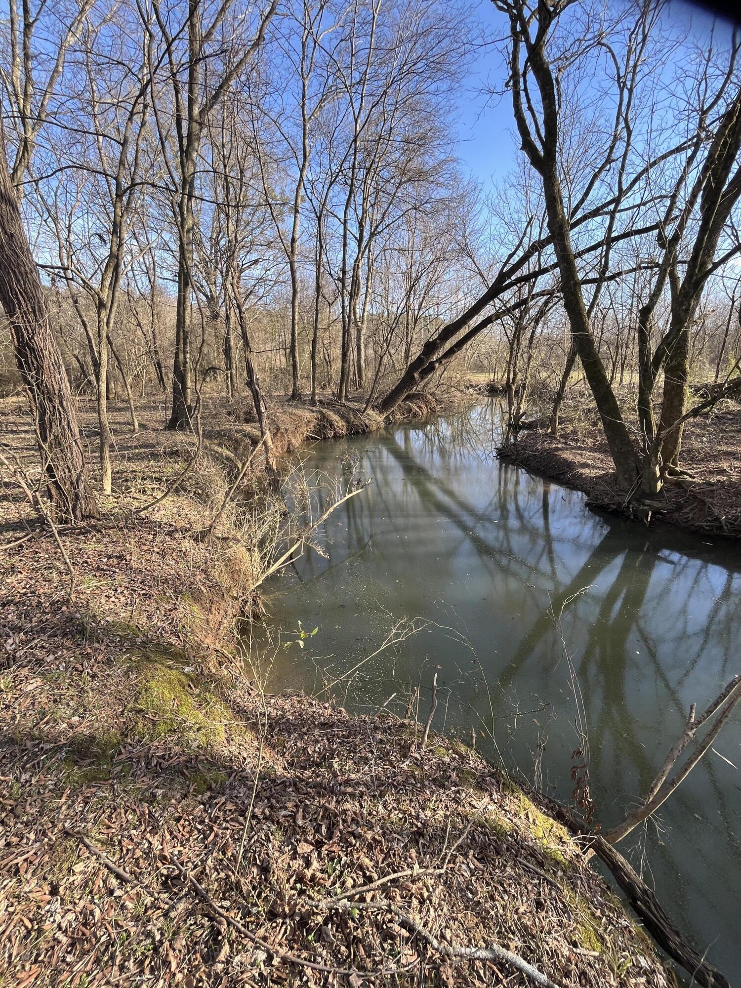 40 Acres Quinton Road, Rocky Face, Georgia image 34