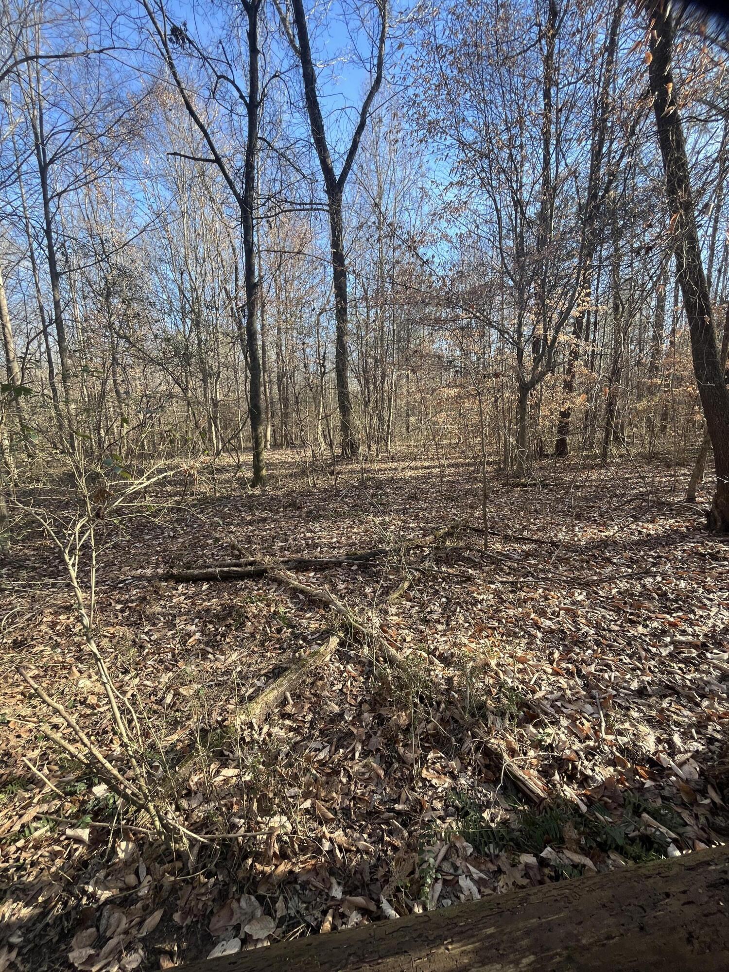 40 Acres Quinton Road, Rocky Face, Georgia image 15