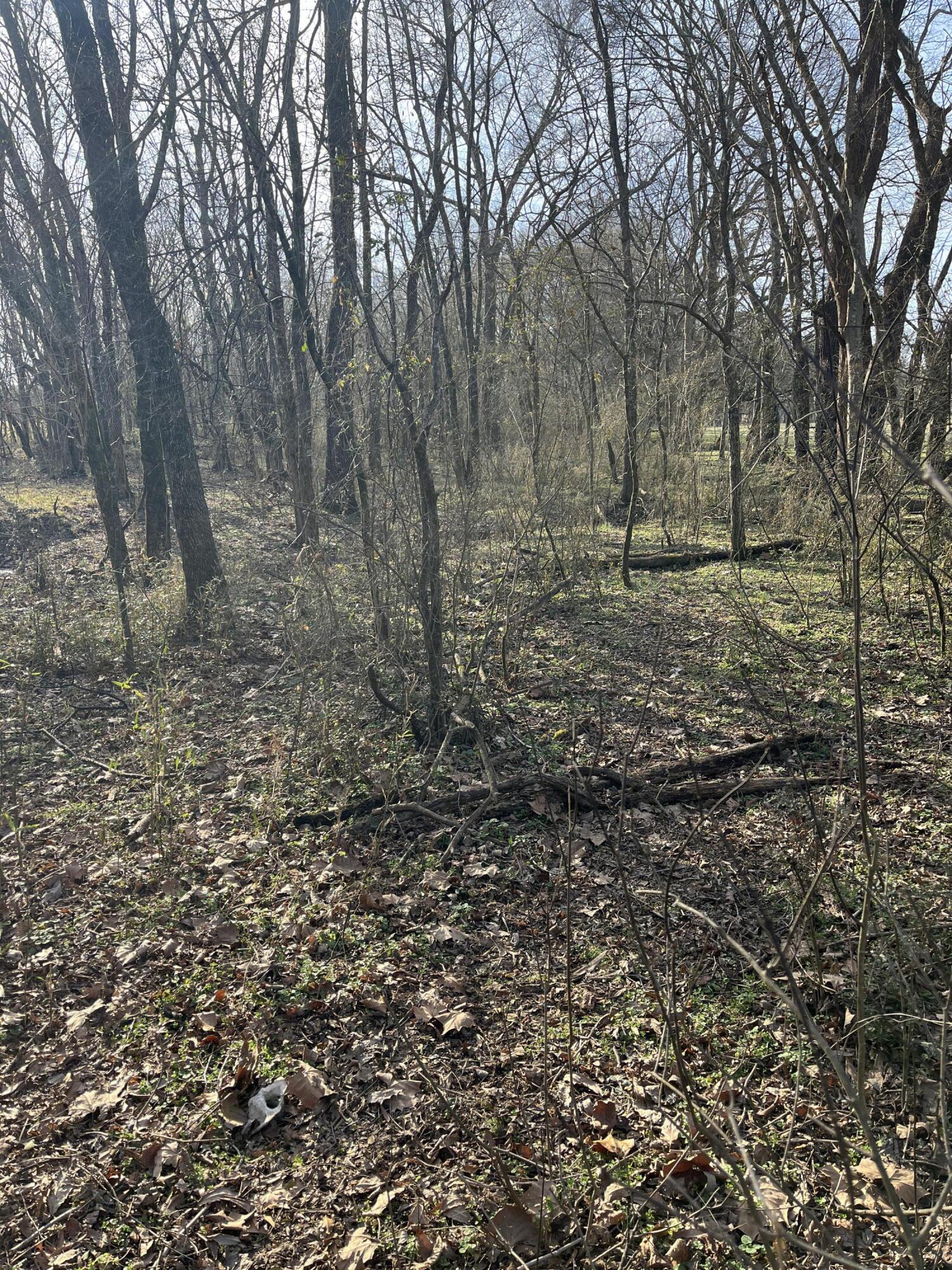 40 Acres Quinton Road, Rocky Face, Georgia image 39