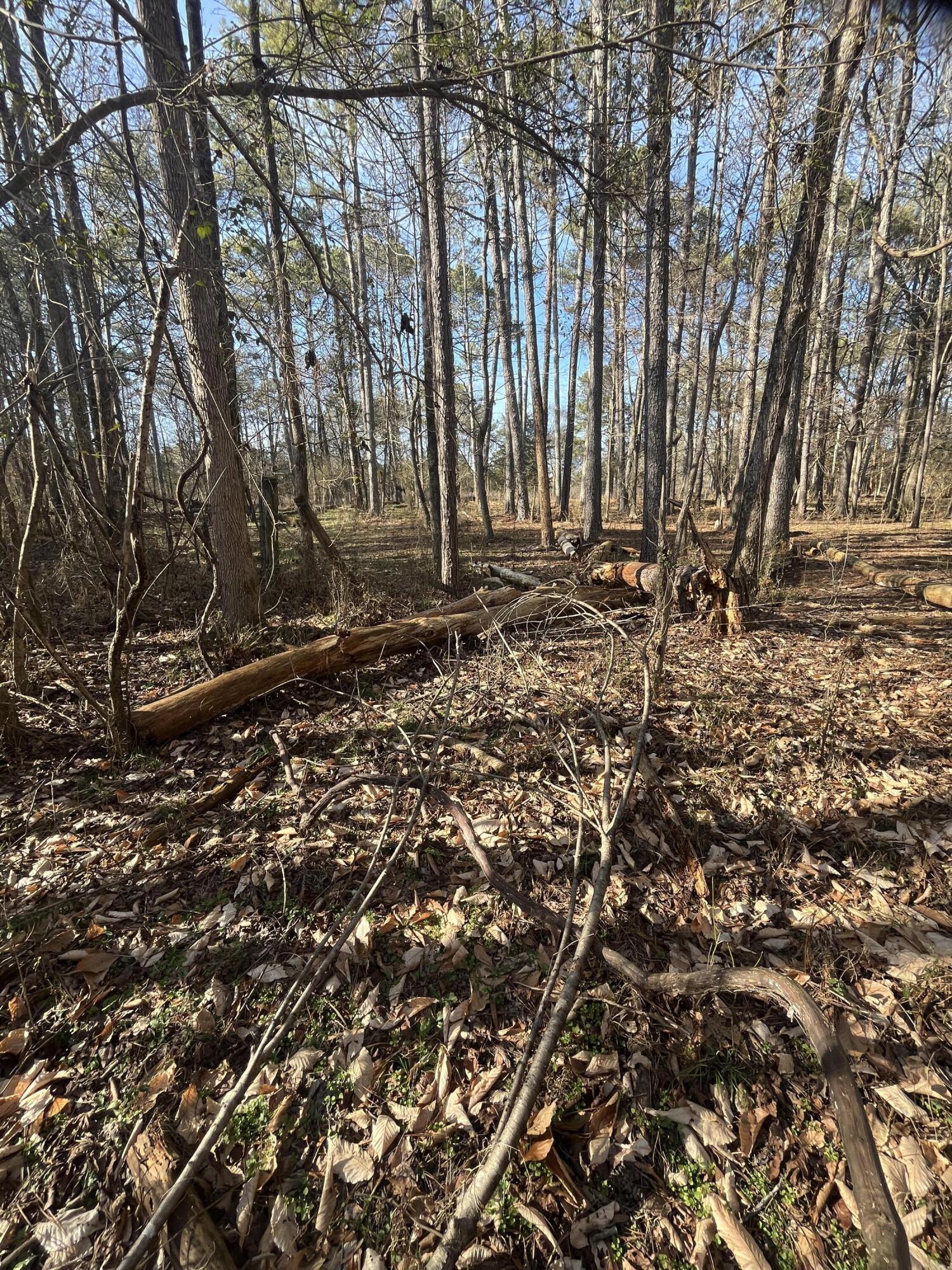 40 Acres Quinton Road, Rocky Face, Georgia image 18
