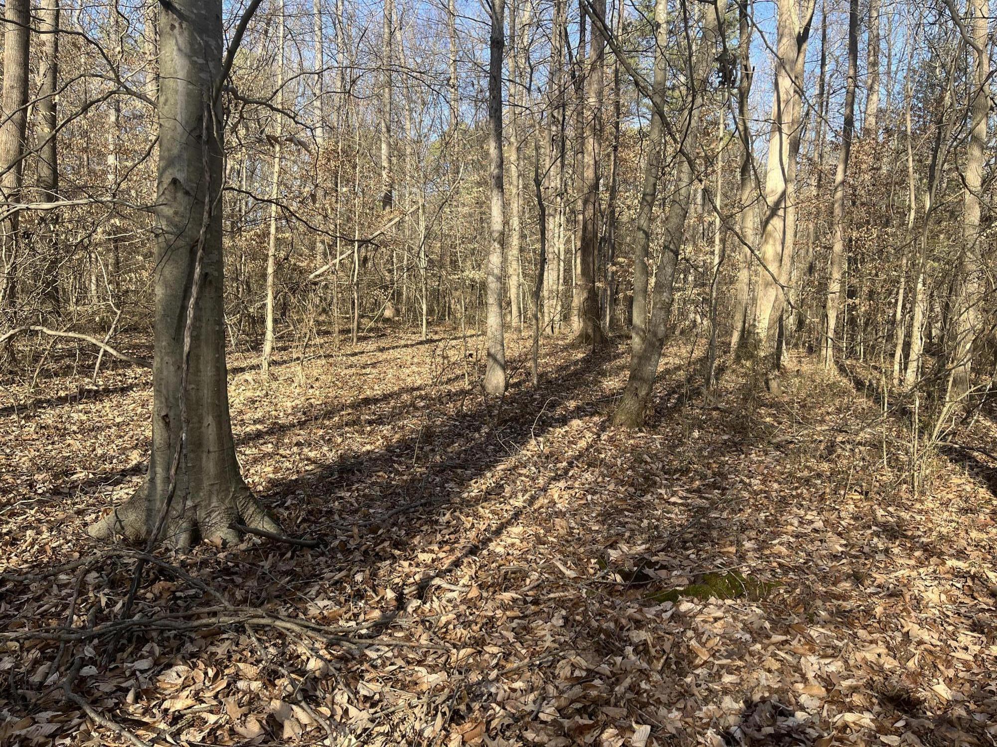 40 Acres Quinton Road, Rocky Face, Georgia image 43