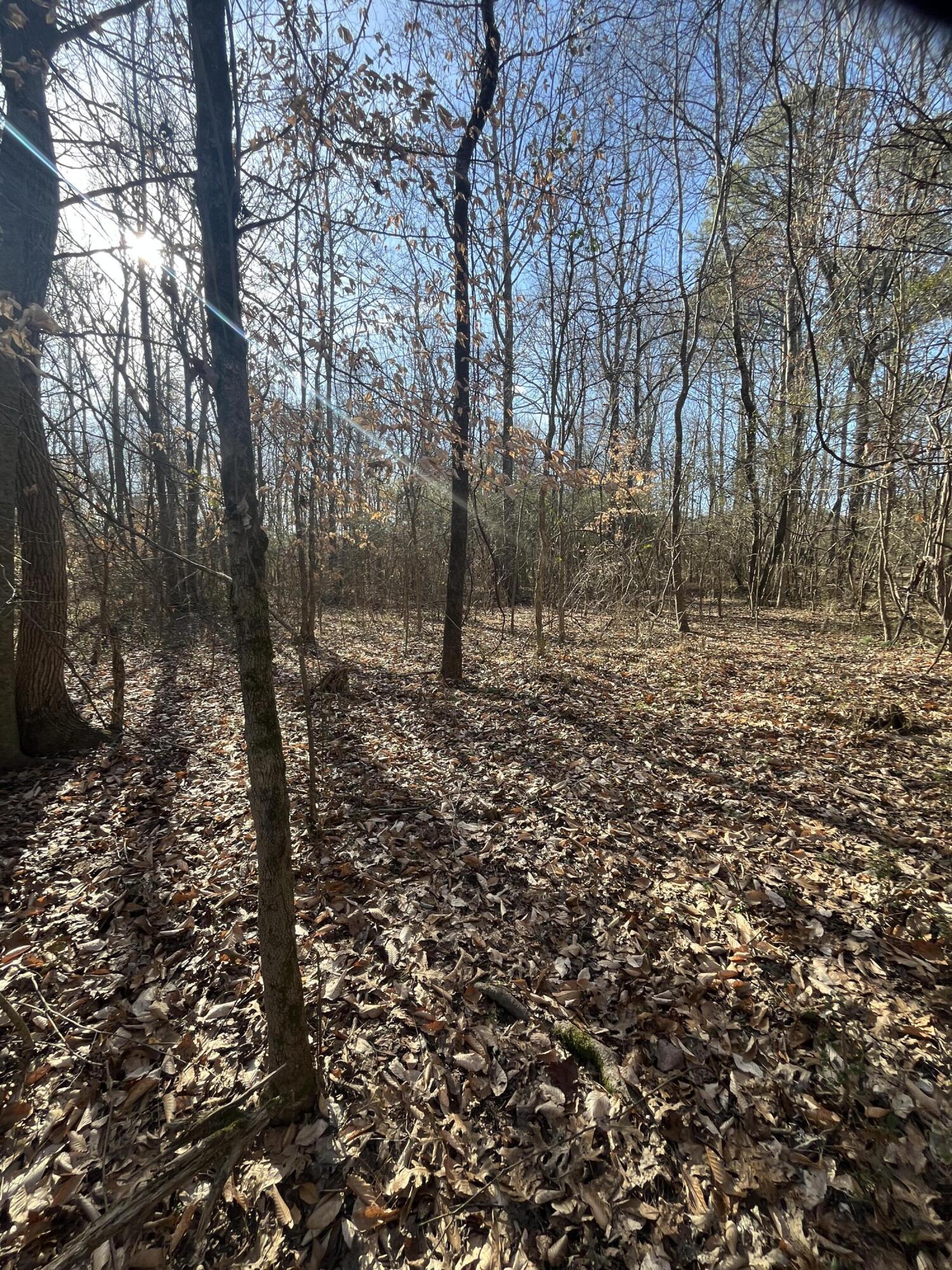 40 Acres Quinton Road, Rocky Face, Georgia image 16
