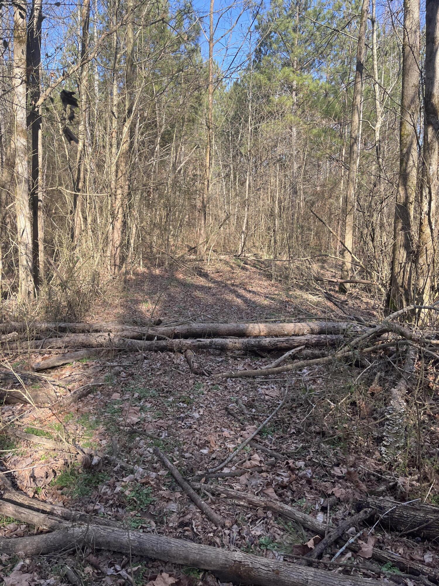 40 Acres Quinton Road, Rocky Face, Georgia image 4