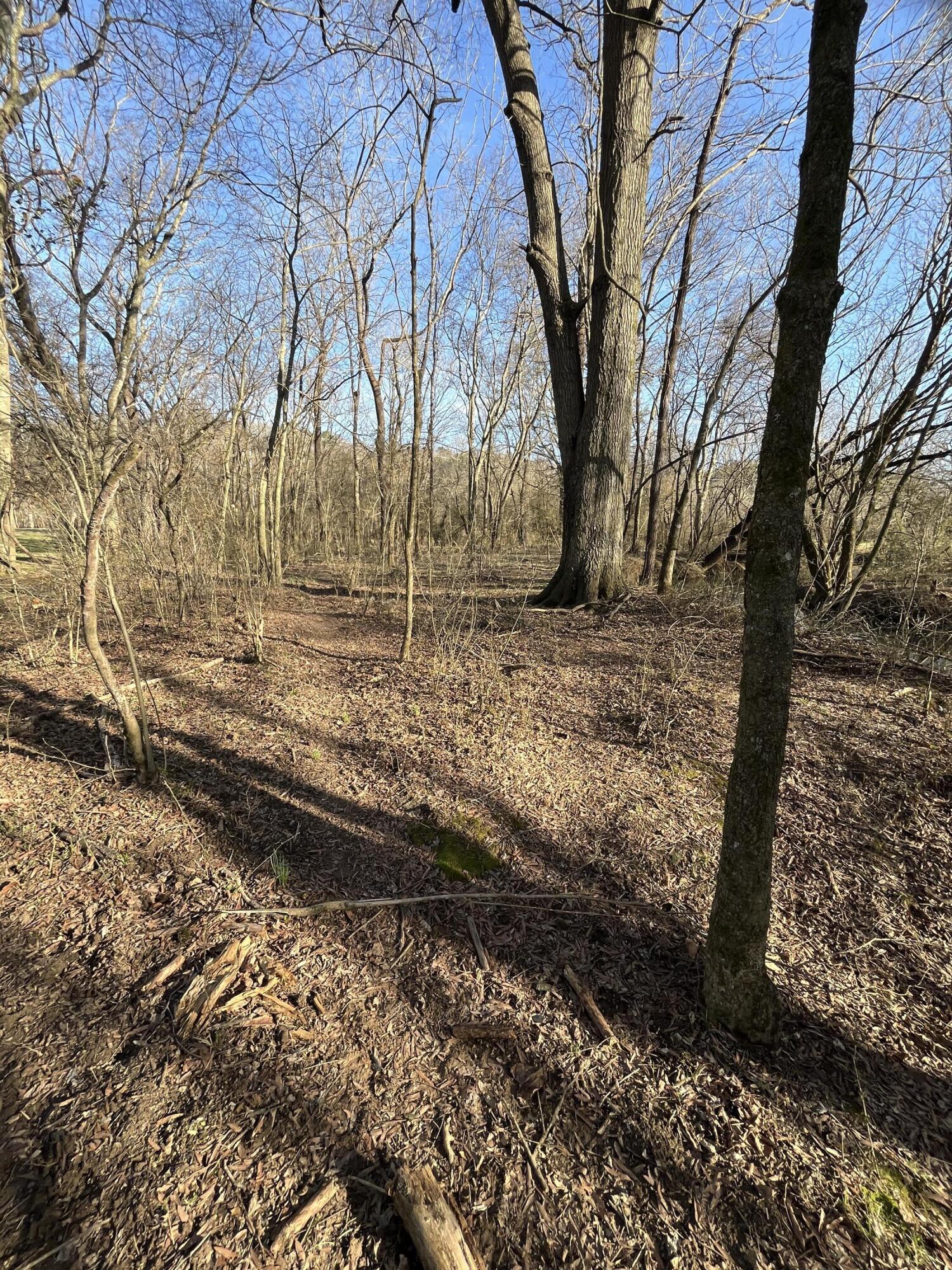 40 Acres Quinton Road, Rocky Face, Georgia image 30