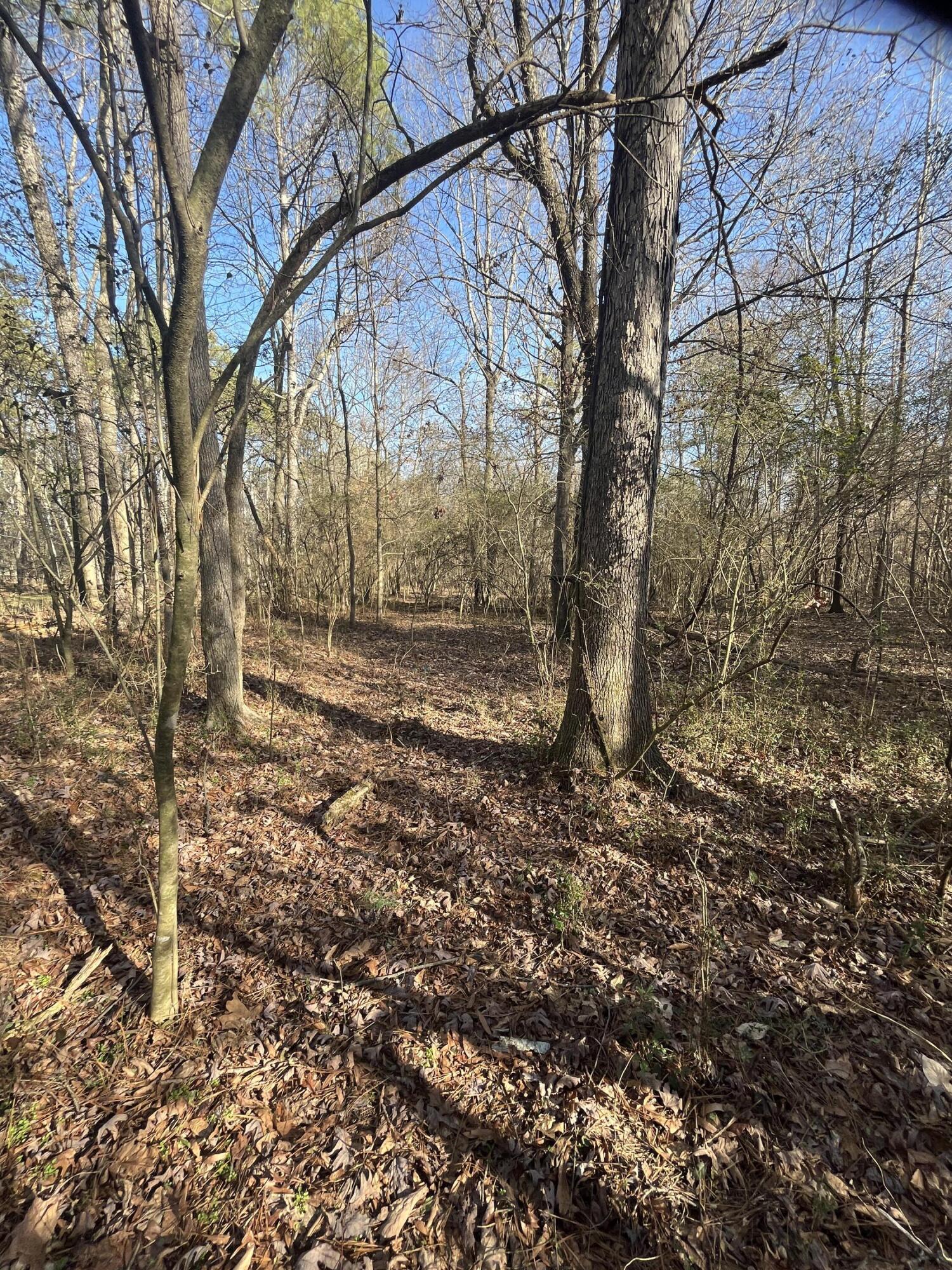 40 Acres Quinton Road, Rocky Face, Georgia image 14