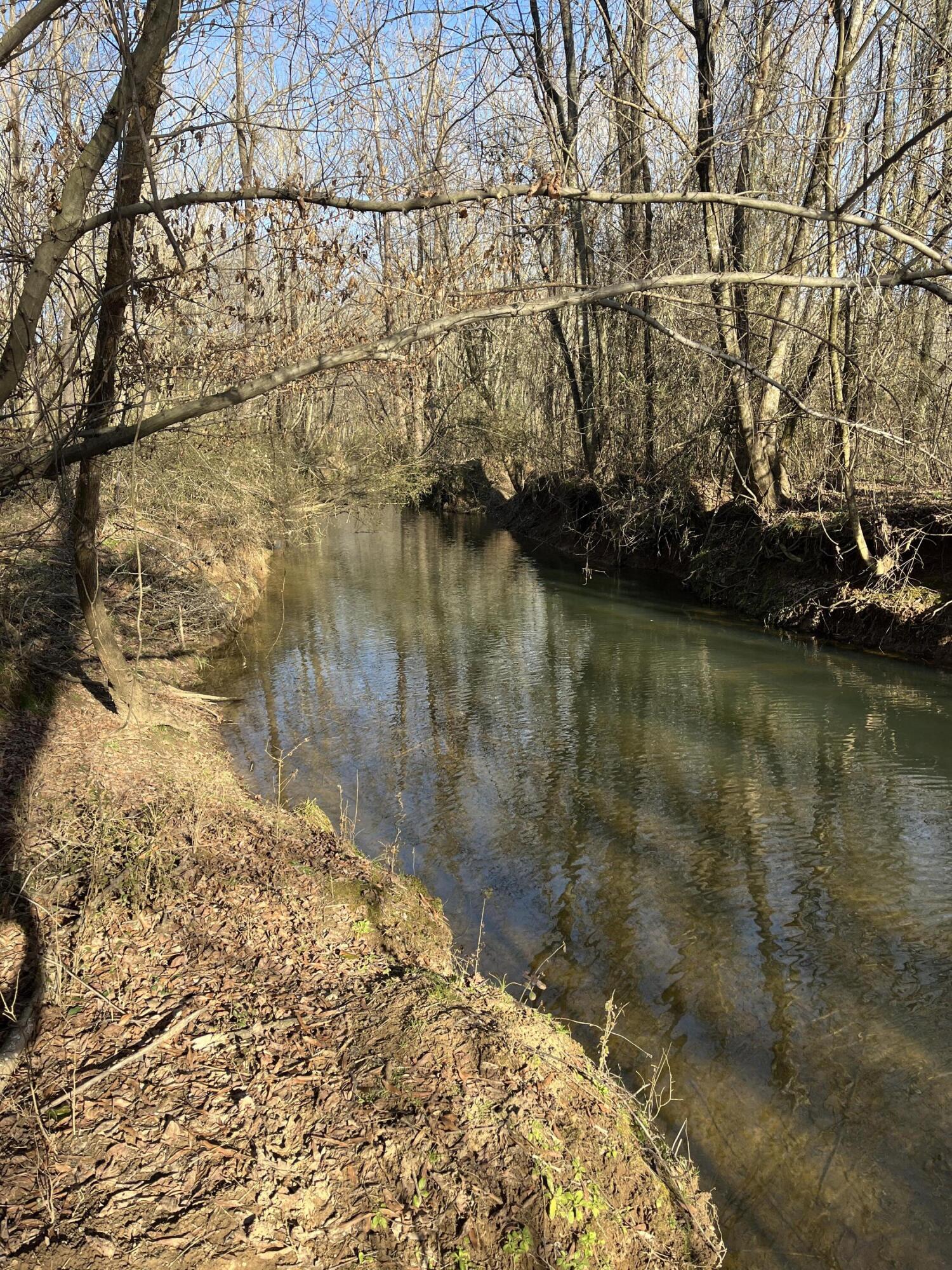40 Acres Quinton Road, Rocky Face, Georgia image 24