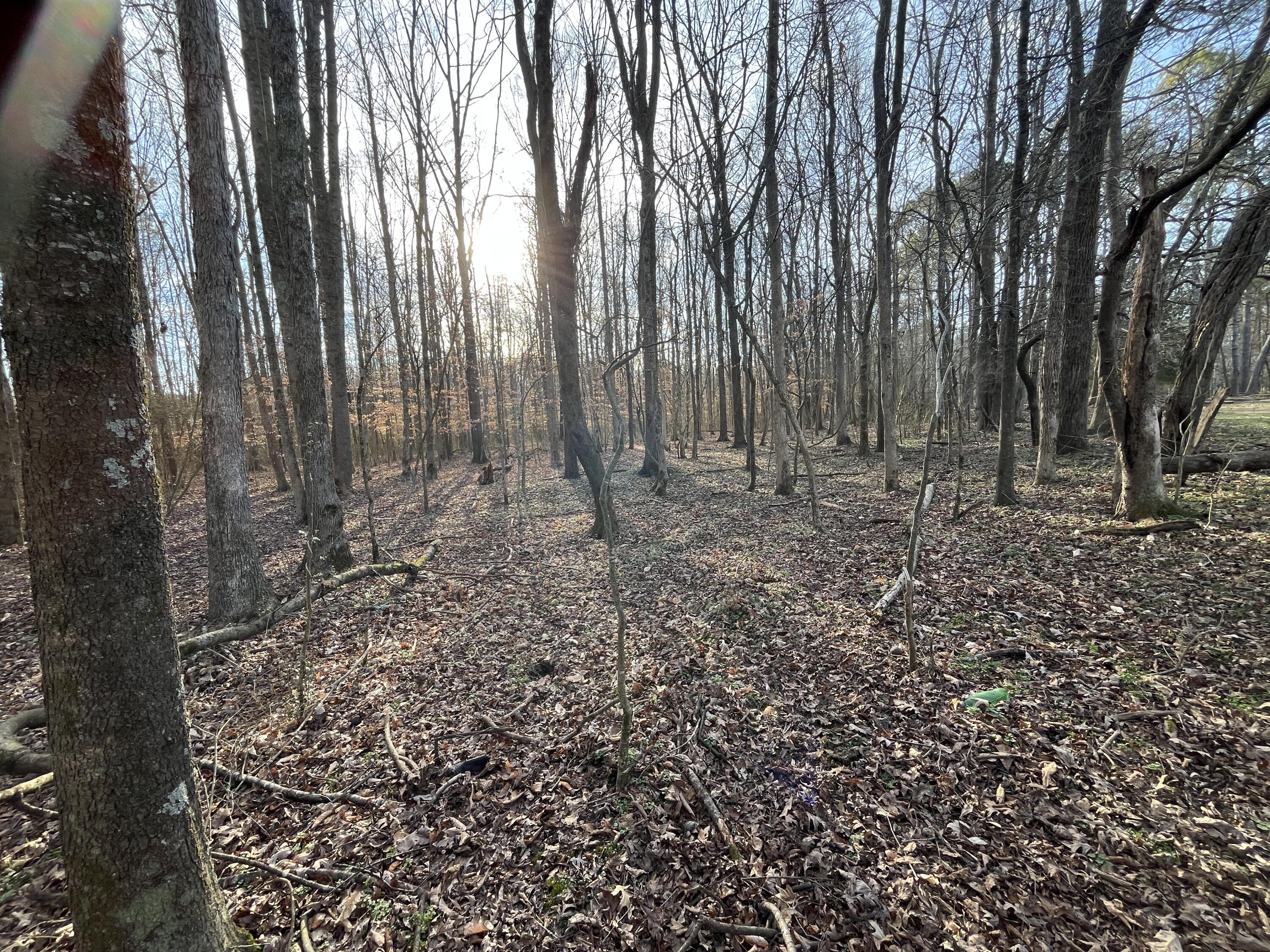 40 Acres Quinton Road, Rocky Face, Georgia image 3